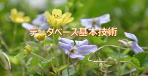データベース基本技術