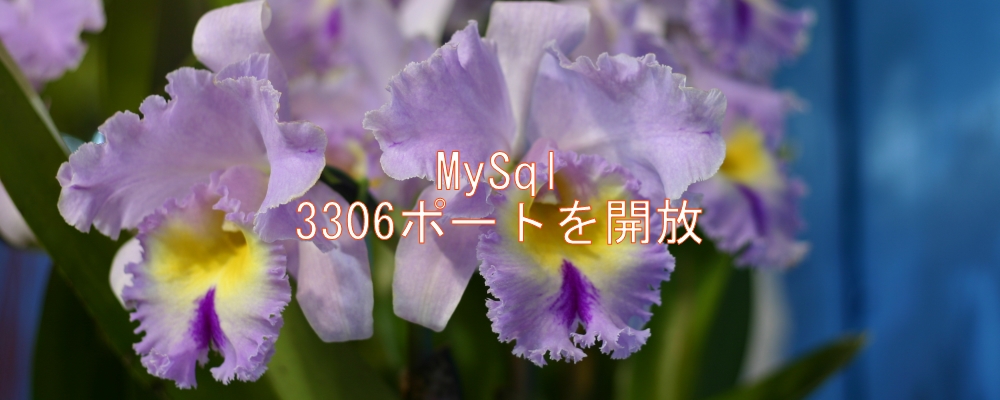 MySQLで3306ポートを開放