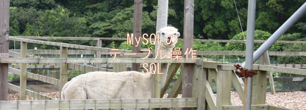 MySQLのテーブル操作SQL